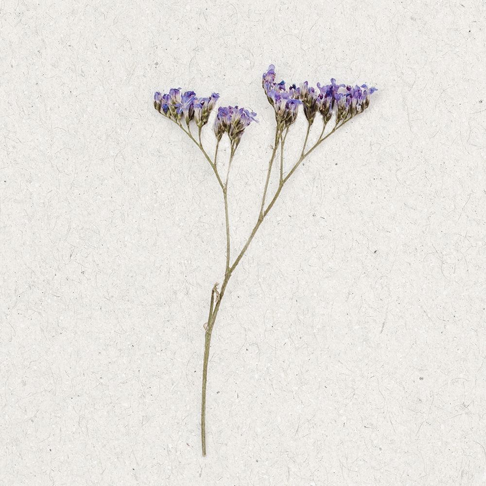 Dainty Purple 1 art print by Ann Bailey for $57.95 CAD