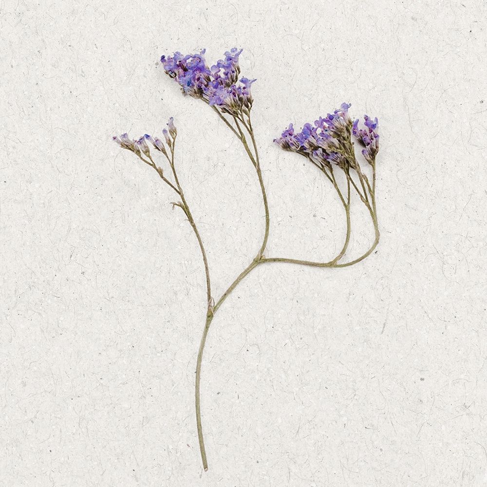 Dainty Purple 2 art print by Ann Bailey for $57.95 CAD