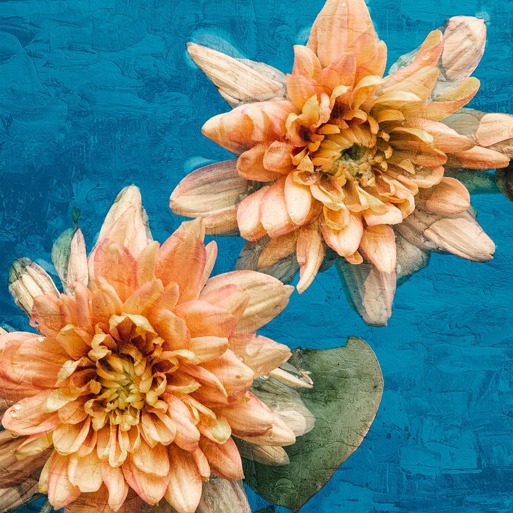 Orange Chrysanthemums art print by Ann Bailey for $57.95 CAD