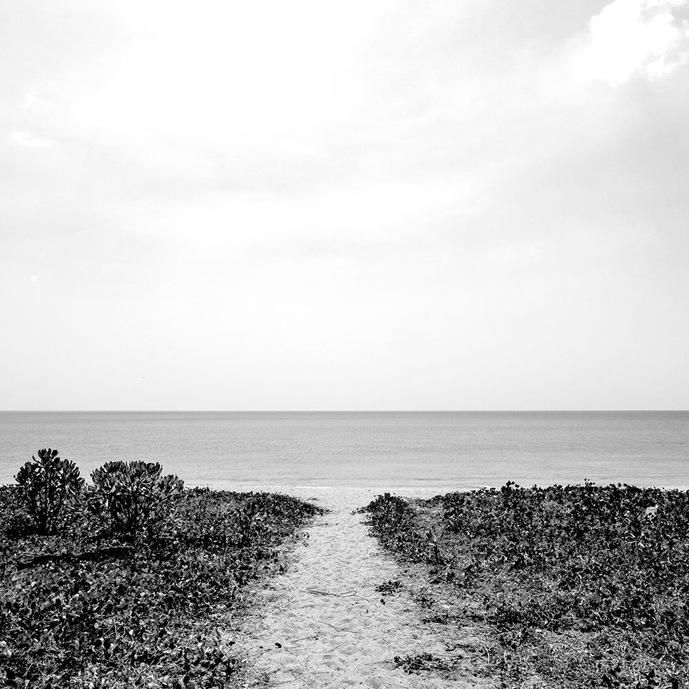 Beach Black and White art print by Ann Bailey for $57.95 CAD