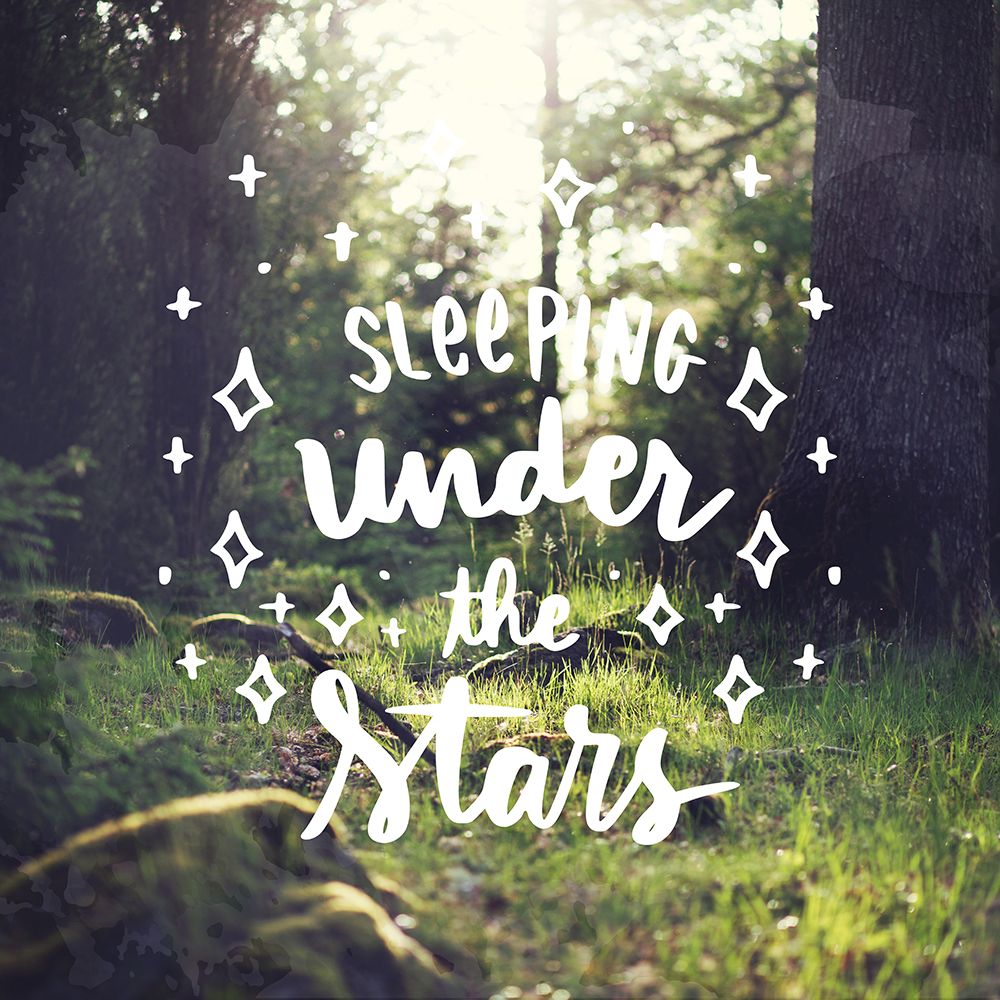 Sleeping Under the Stars art print by Ann Bailey for $57.95 CAD