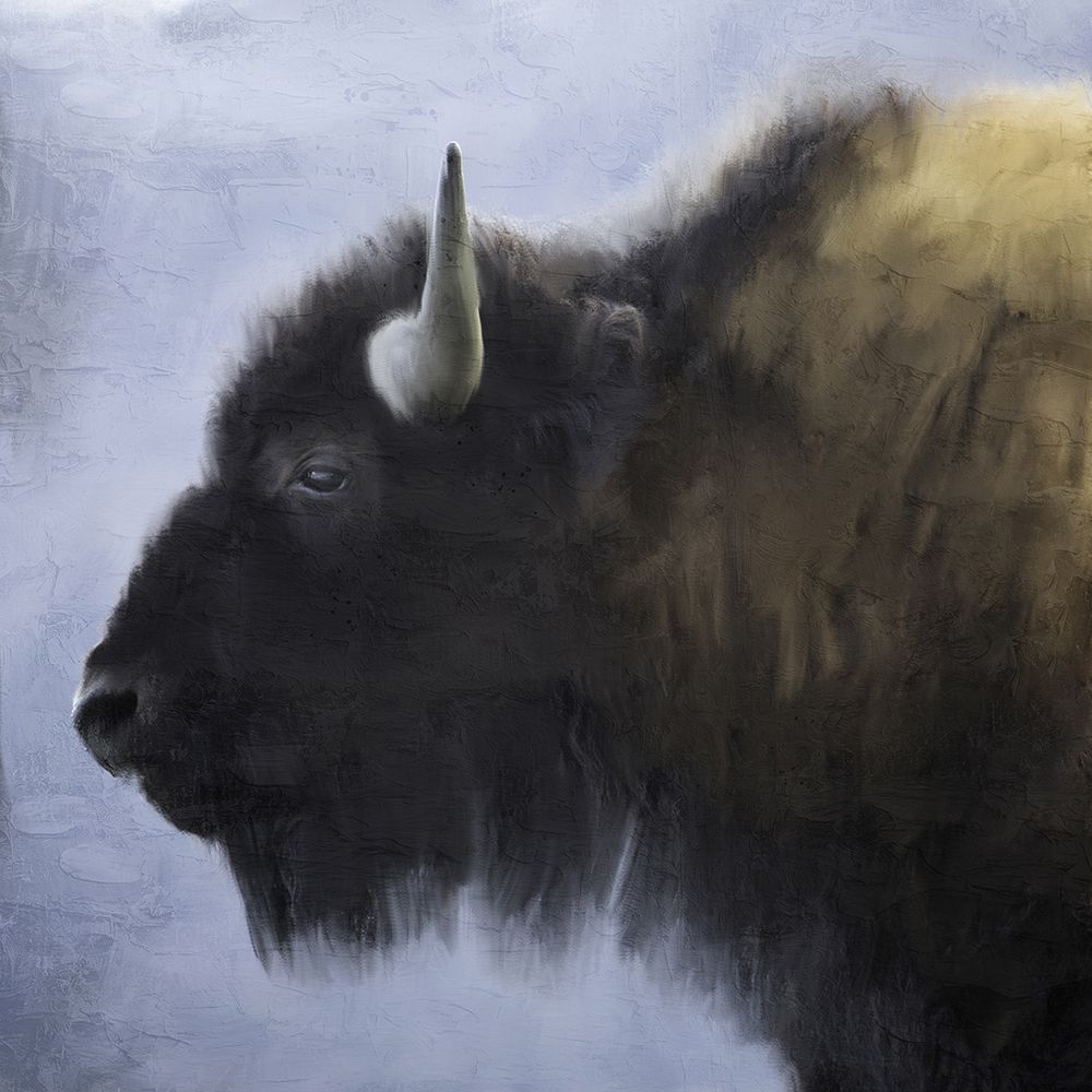 King art print by Ann Bailey for $57.95 CAD