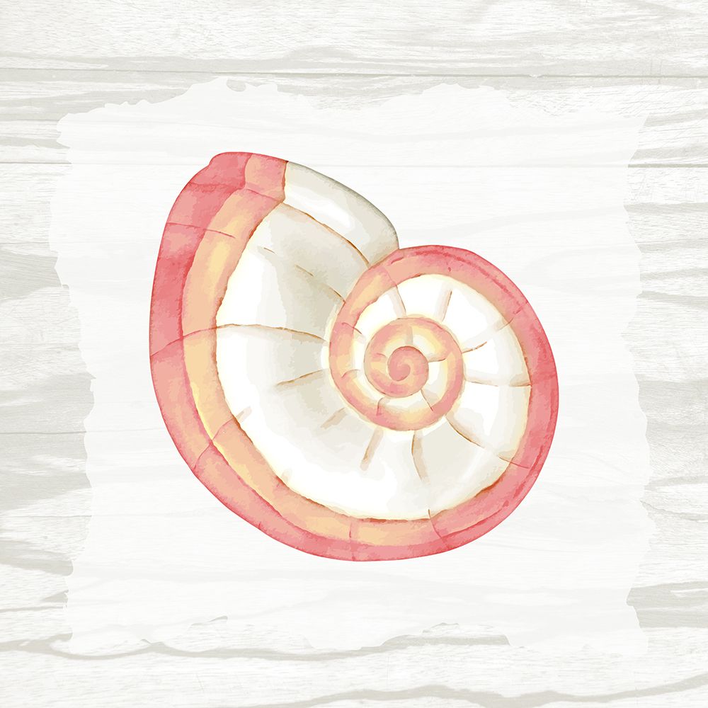 Coral Shells On Wood 1 art print by Ann Bailey for $57.95 CAD
