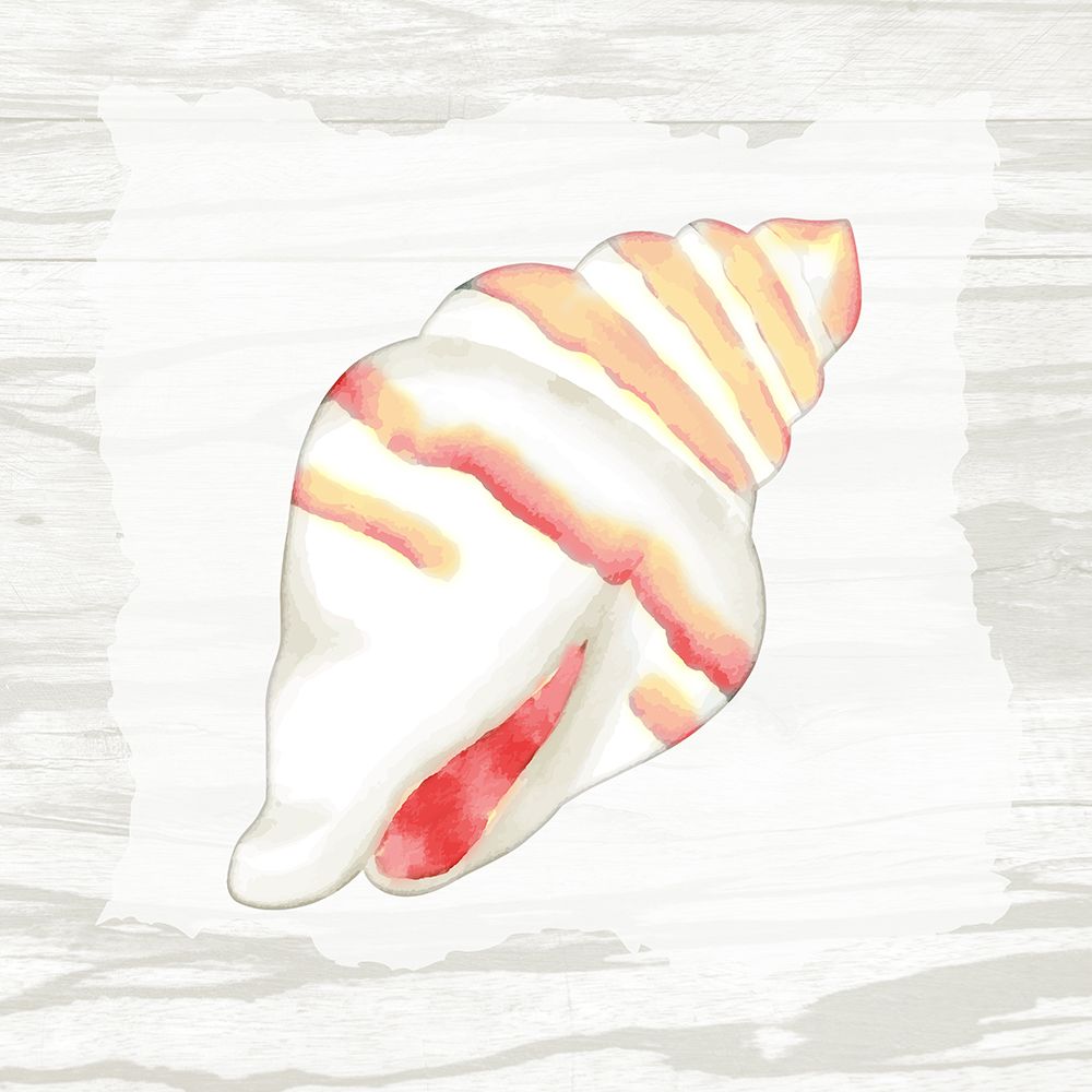 Coral Shells On Wood 2 art print by Ann Bailey for $57.95 CAD
