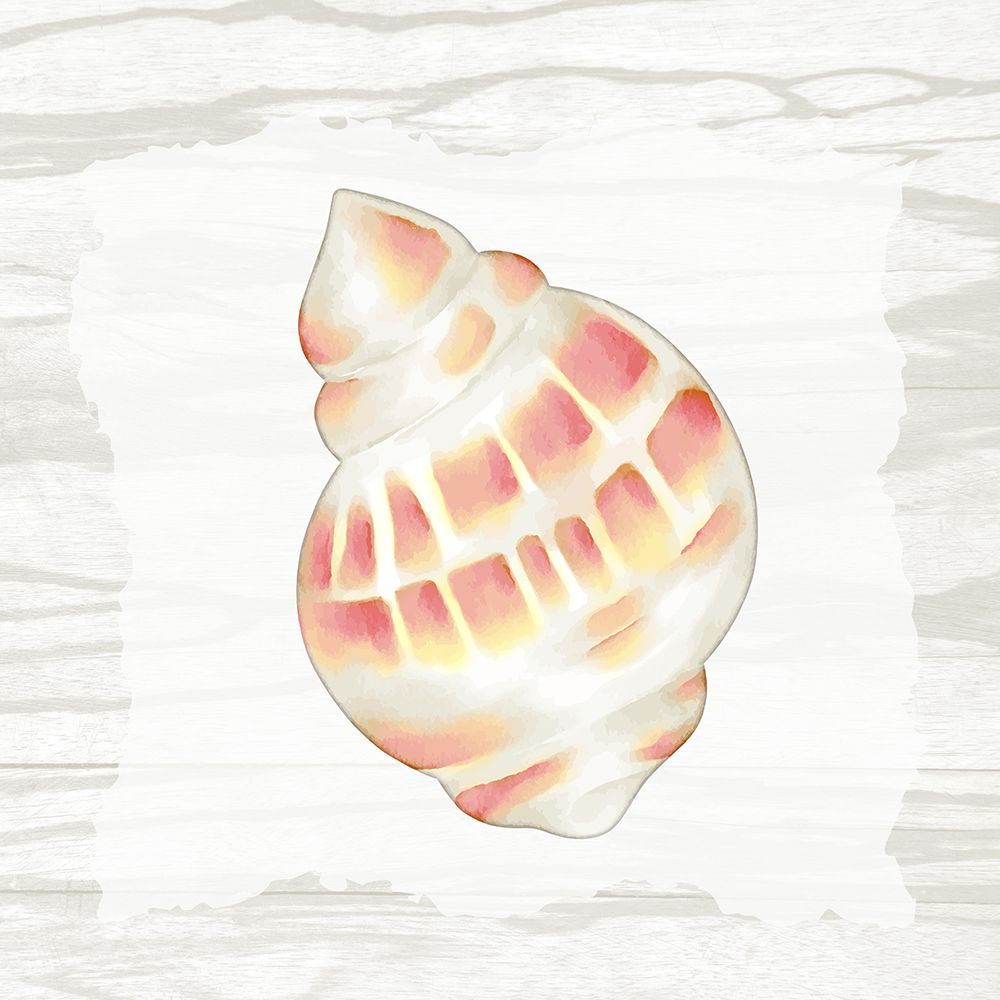 Coral Shells On Wood 3 art print by Ann Bailey for $57.95 CAD