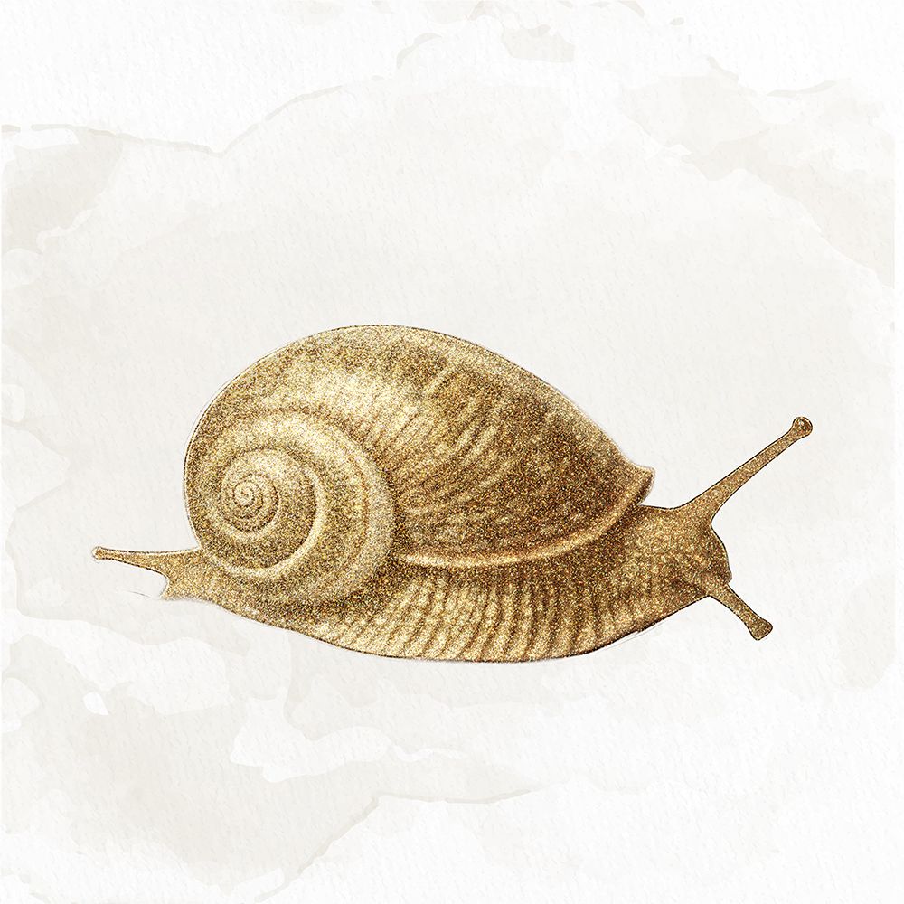 Garden Snail 1 art print by Ann Bailey for $57.95 CAD