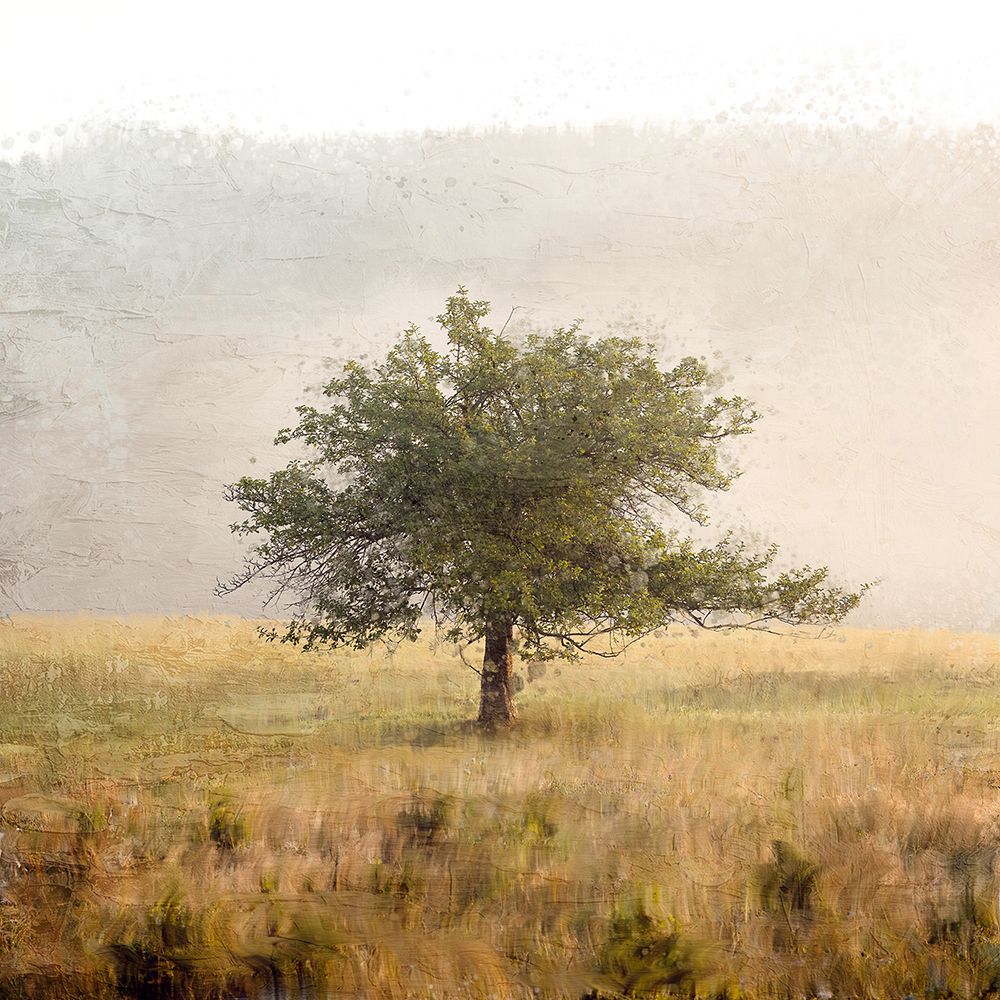 Alone art print by Ann Bailey for $57.95 CAD