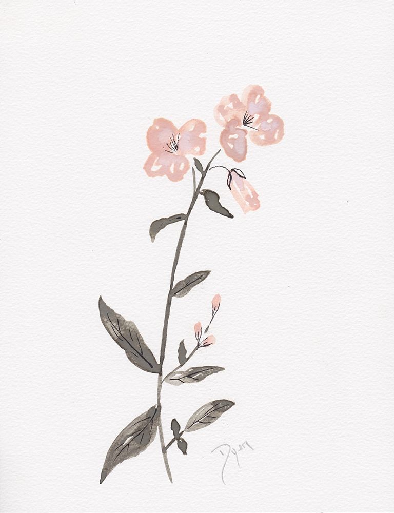 Wildflower Organics II art print by Kimberly Allen for $57.95 CAD