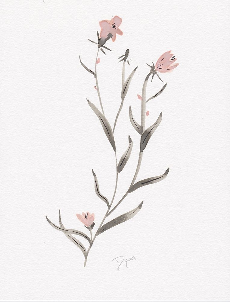 Wildflower Organics IV art print by Kimberly Allen for $57.95 CAD