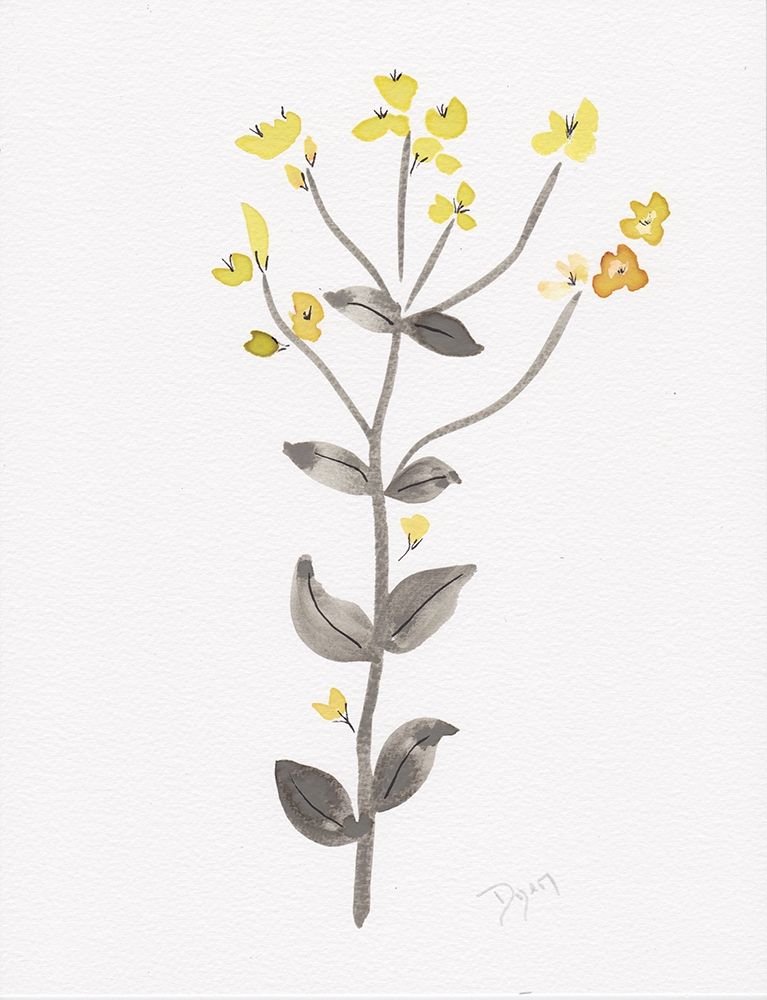 Wildflower Organics V art print by Kimberly Allen for $57.95 CAD