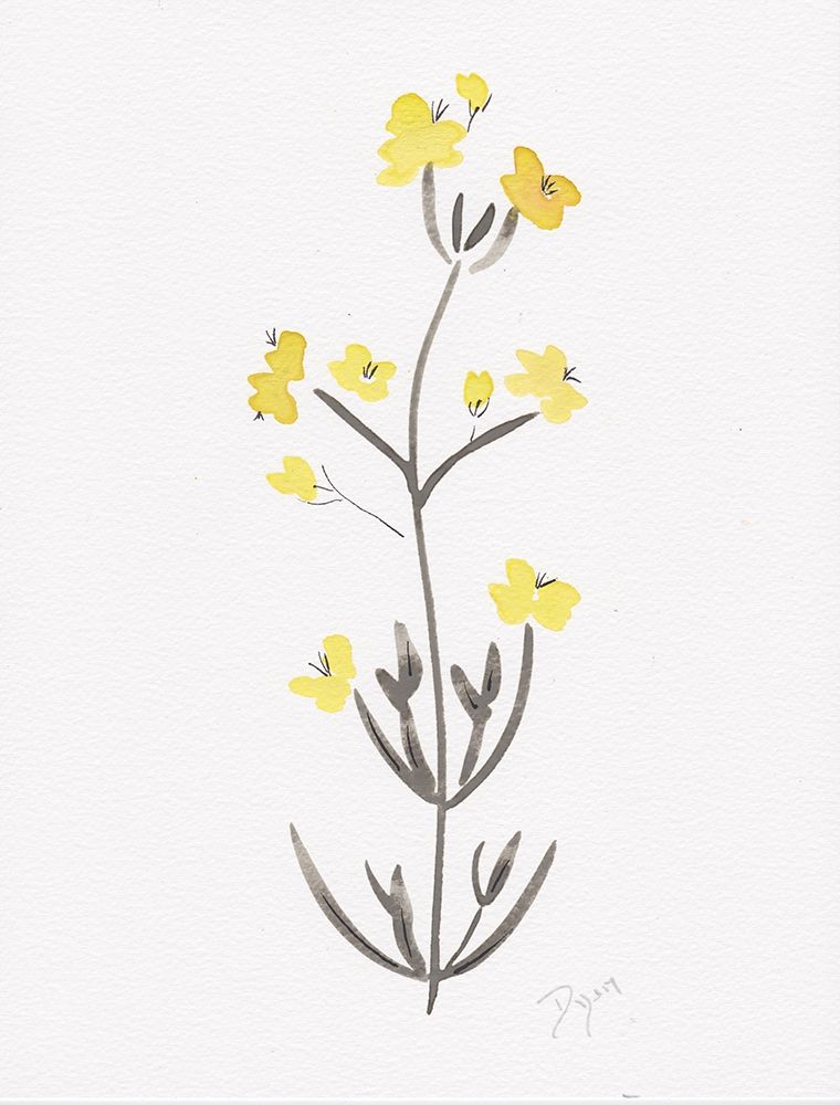 Wildflower Organics VI art print by Kimberly Allen for $57.95 CAD