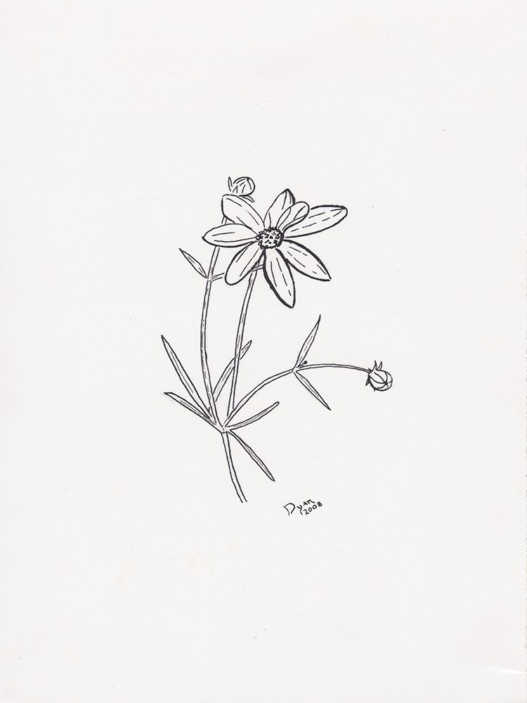 Floral Hand Drawn 2 art print by Beverly Dyer for $57.95 CAD