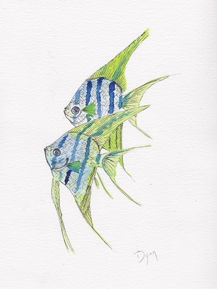 Fish Angel art print by Beverly Dyer for $57.95 CAD