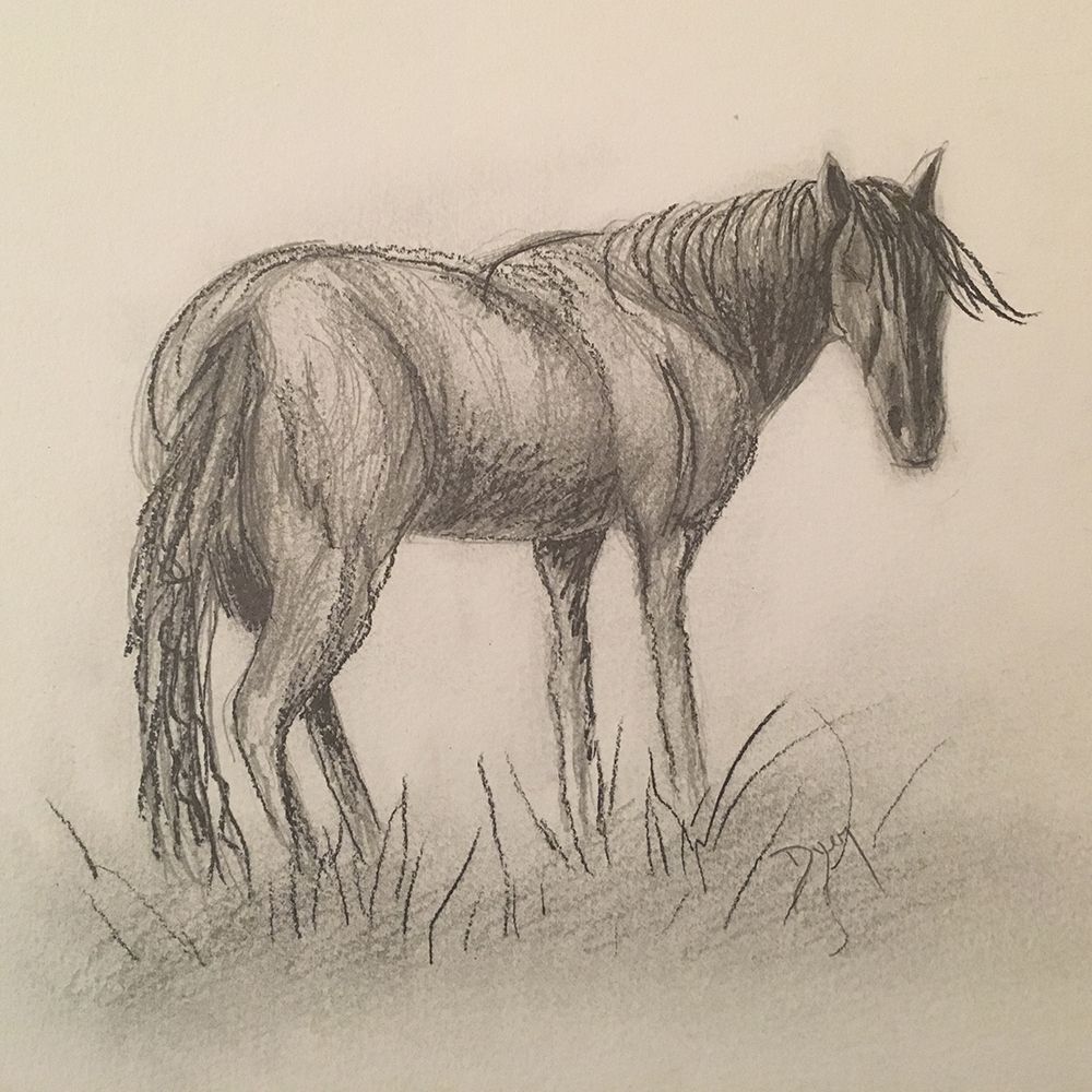 Brown Beauty art print by Beverly Dyer for $57.95 CAD