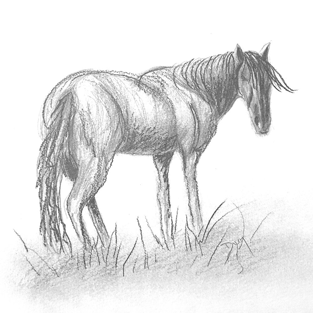 Black And White Beauty art print by Beverly Dyer for $57.95 CAD