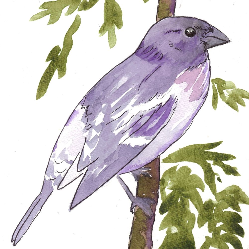 Vibrant Bird 1 art print by Beverly Dyer for $57.95 CAD