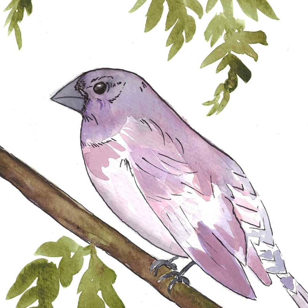 Vibrant Bird 2 art print by Beverly Dyer for $57.95 CAD