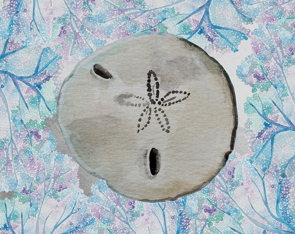 Sand Dollar art print by Boho Hue Studio for $57.95 CAD