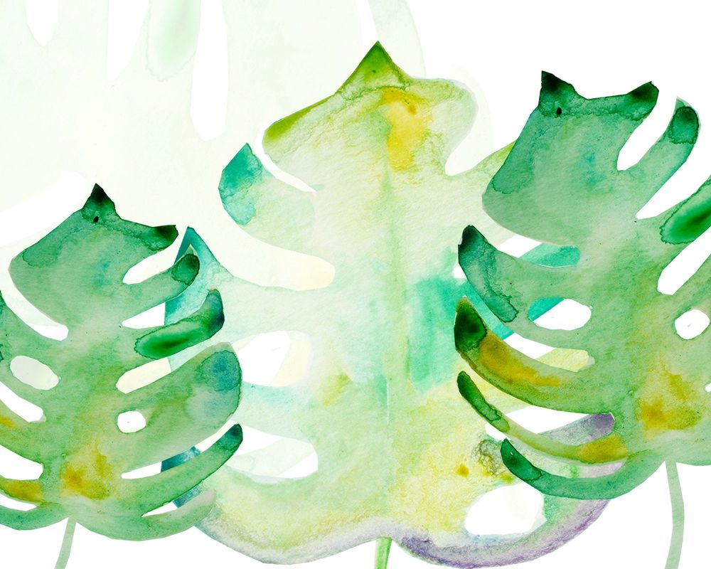 Green Monsteral 1 art print by Boho Hue Studio for $57.95 CAD