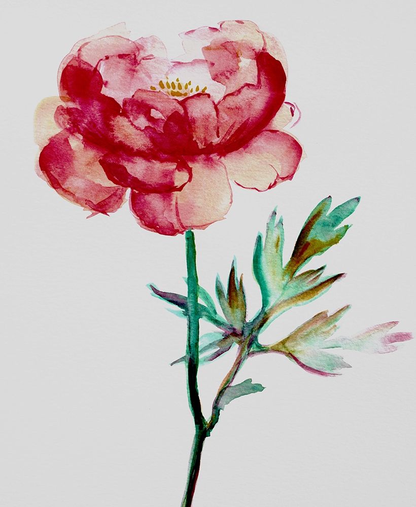 Red Peony art print by Boho Hue Studio for $57.95 CAD