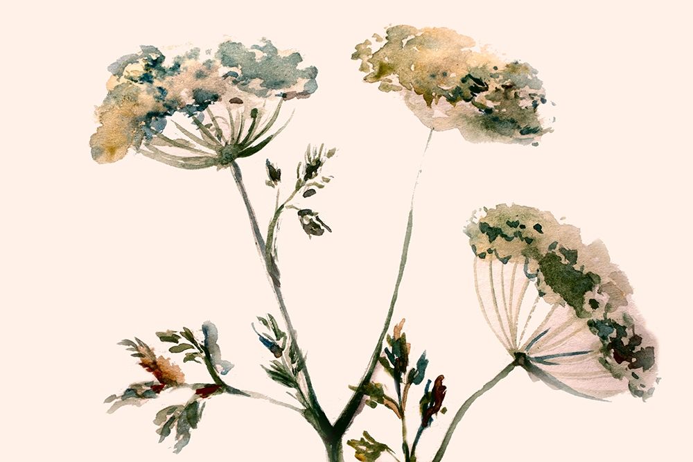 Queens Flowers art print by Boho Hue Studio for $57.95 CAD