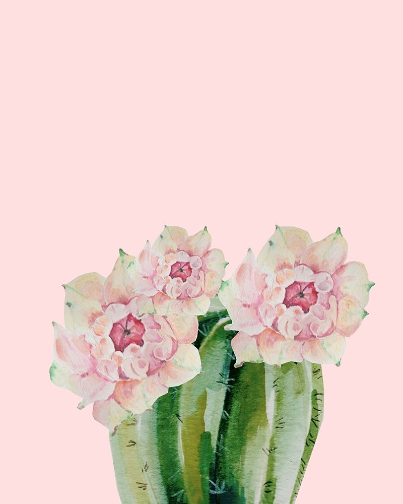 Succulant D2 art print by Boho Hue Studio for $57.95 CAD