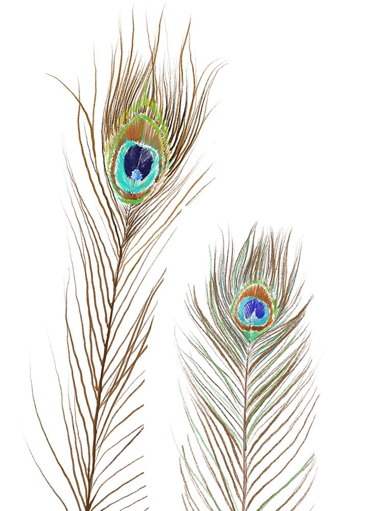 Peacock Love 1 art print by Boho Hue Studio for $57.95 CAD