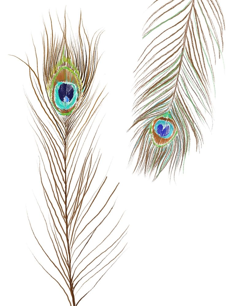 Peacock Love 2 art print by Boho Hue Studio for $57.95 CAD