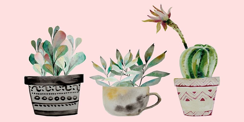 Succulant Trio art print by Boho Hue Studio for $57.95 CAD