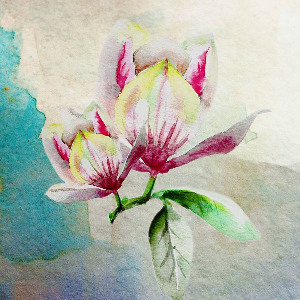 Magnolia Pair 2 art print by Boho Hue Studio for $57.95 CAD