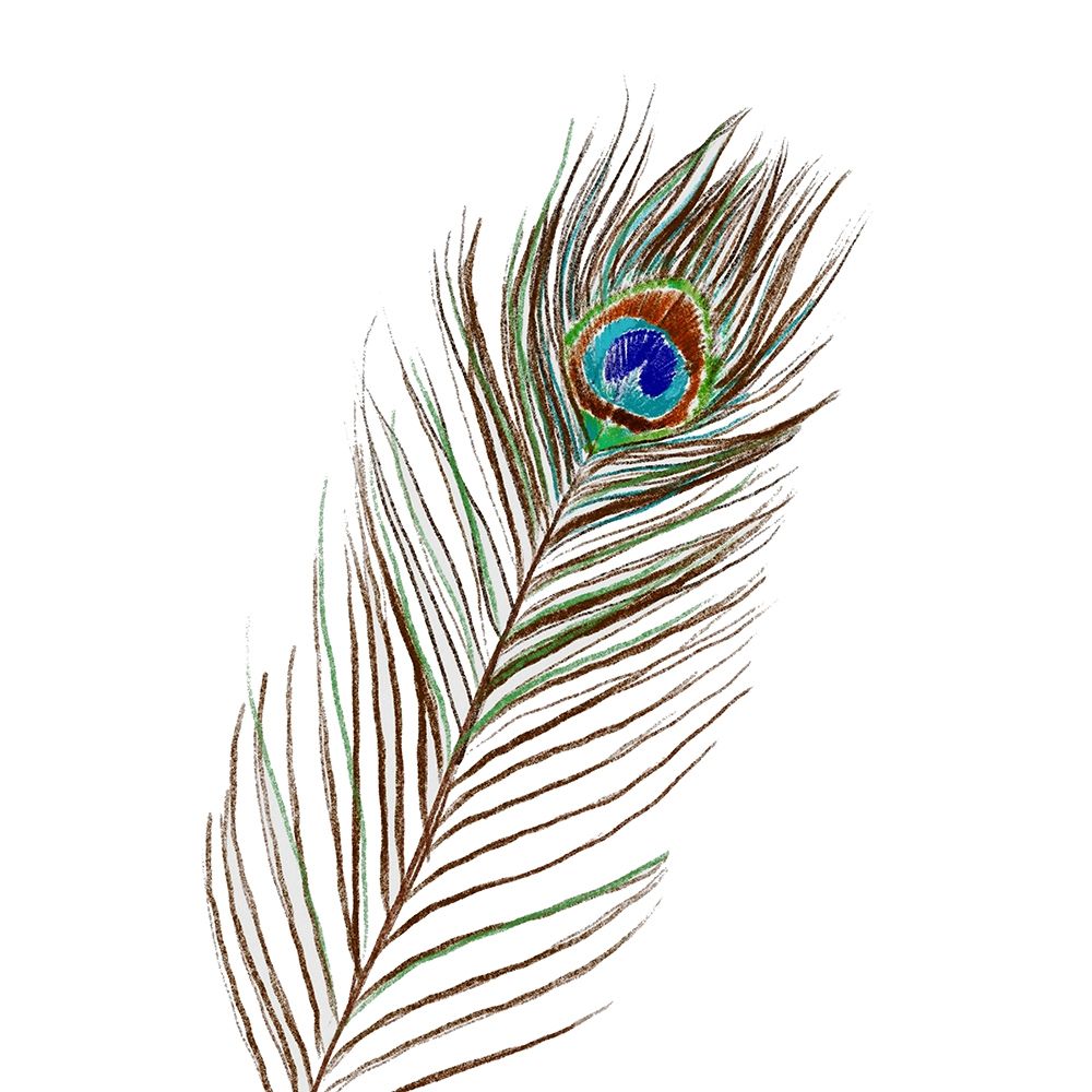 Peacock Single 1 art print by Boho Hue Studio for $57.95 CAD