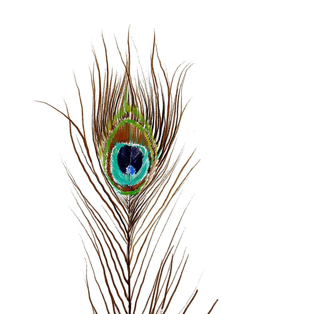 Peacock Single 2 art print by Boho Hue Studio for $57.95 CAD