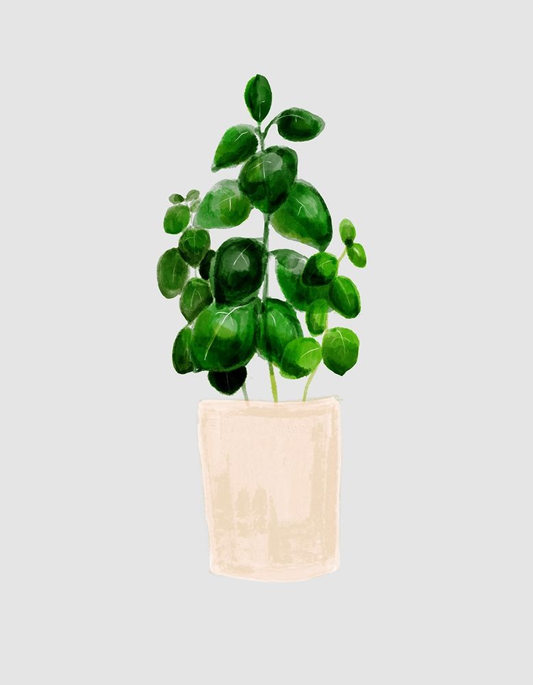 House Pot 6 art print by Boho Hue Studio for $57.95 CAD