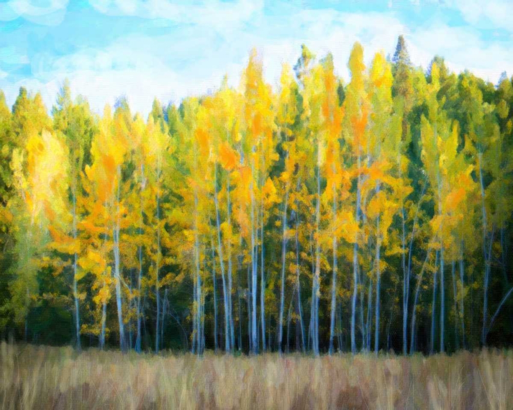 Trees 1 art print by Cynthia Alvarez for $57.95 CAD