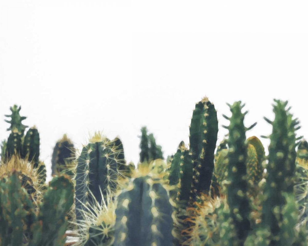 Prickly Field art print by Cynthia Alvarez for $57.95 CAD