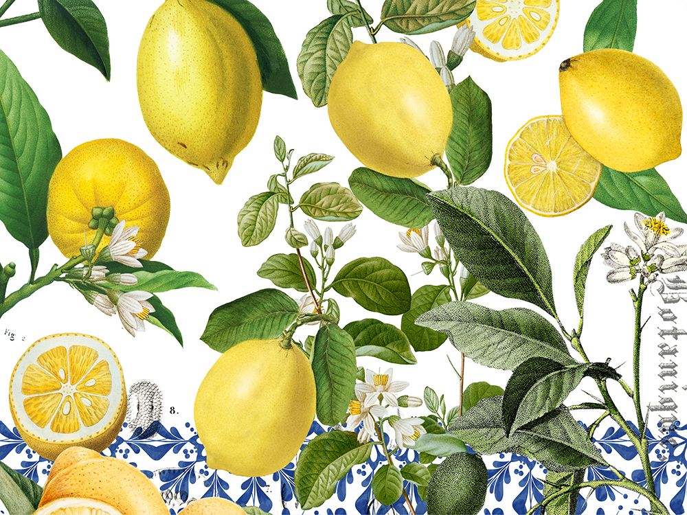 Lemon 4 art print by Christina Rae for $57.95 CAD