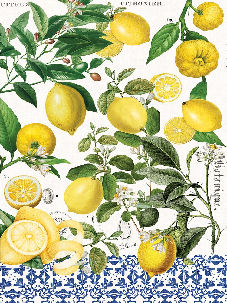 Lemons art print by Christina Rae for $57.95 CAD
