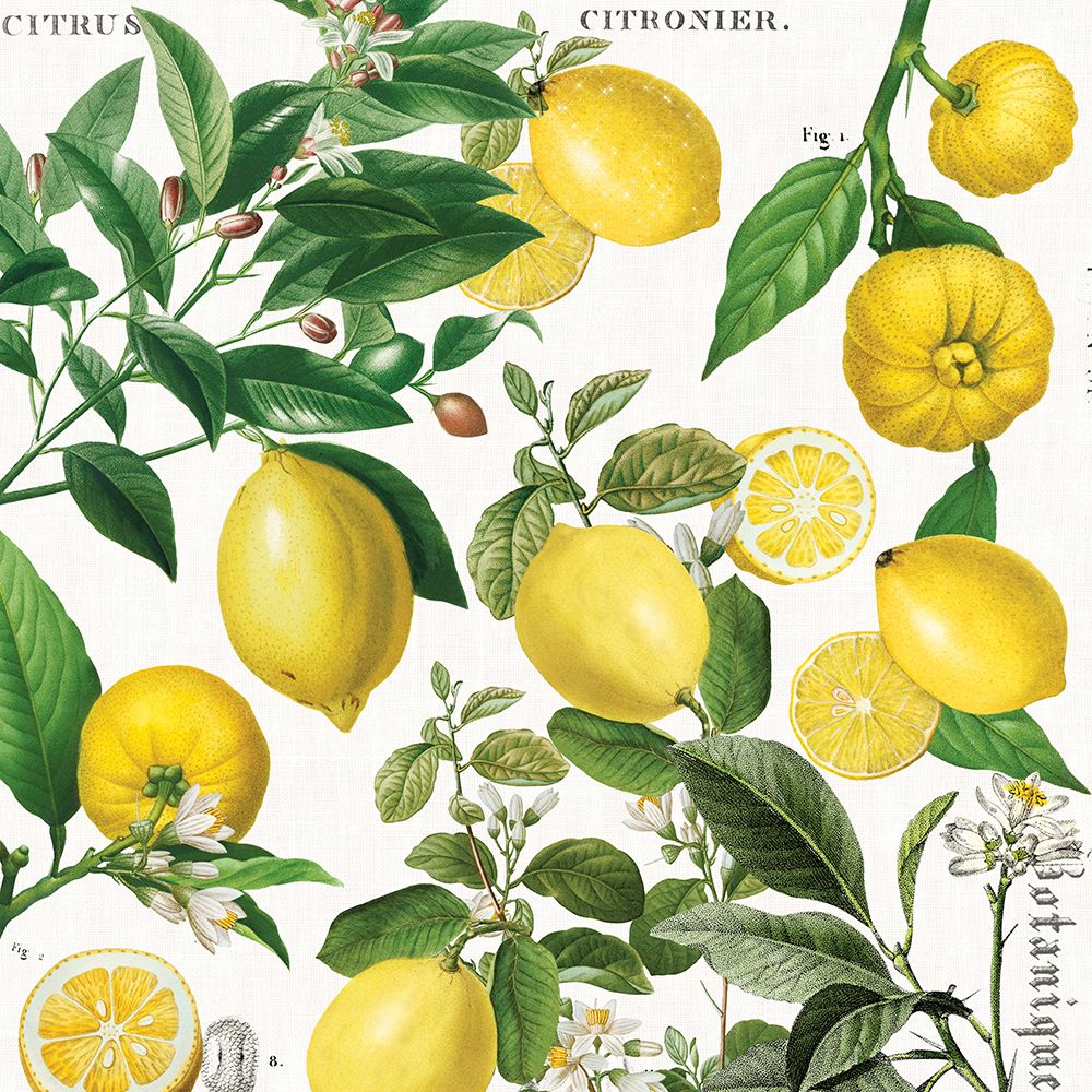 Lemon Bunch art print by Christina Rae for $57.95 CAD