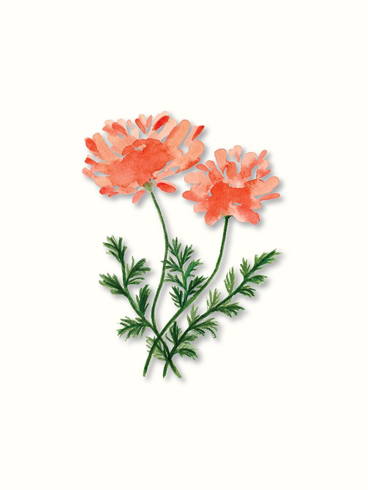 Pink Peonies art print by Corinne Rose Design for $57.95 CAD