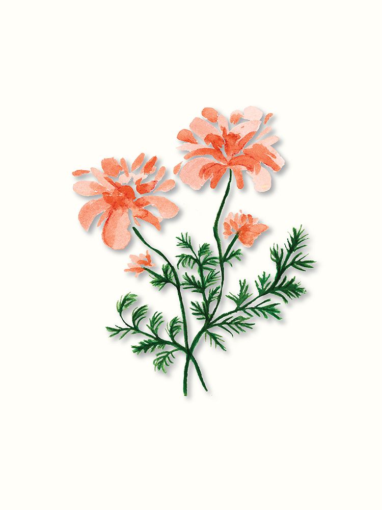 Pink Peonies 2 art print by Corinne Rose Design for $57.95 CAD