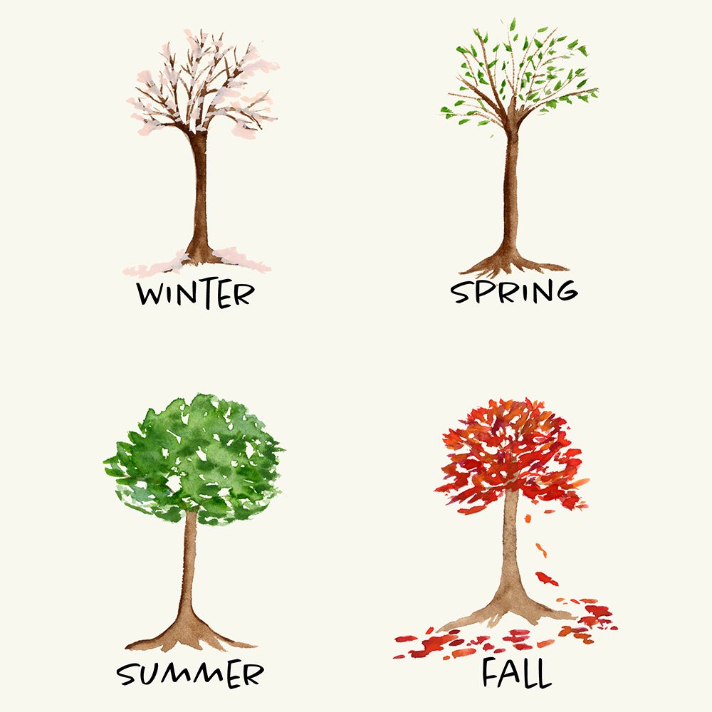 Seasons art print by Corinne Rose Design for $57.95 CAD