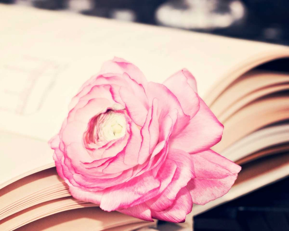 Ranuculus in book art print by Ashley Davis for $57.95 CAD