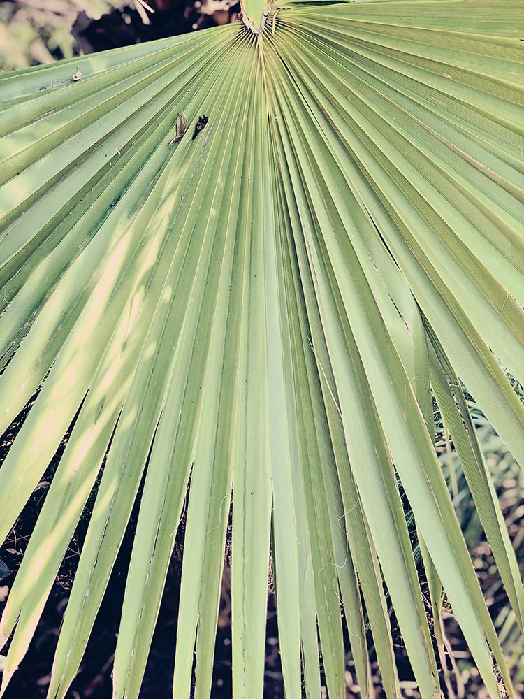 Palm Hand art print by Ashley Davis for $57.95 CAD