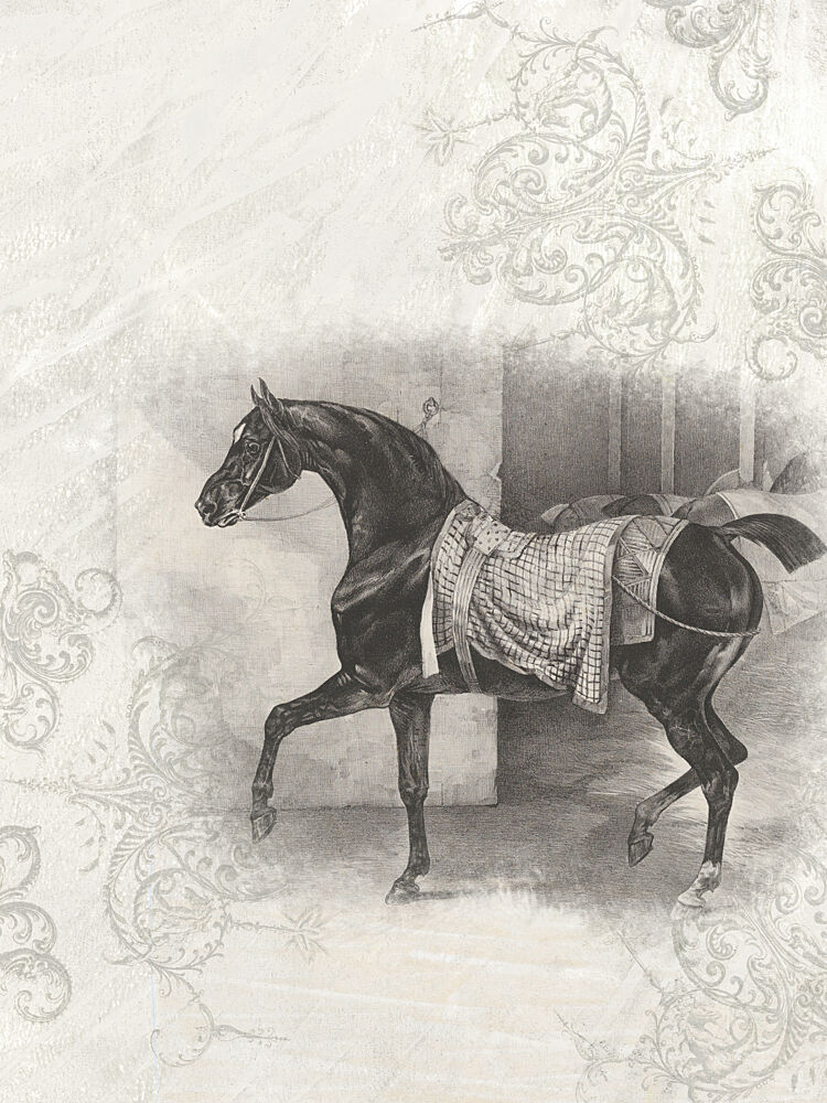 Dream Of Horses 1 art print by Dena Ann Adams for $57.95 CAD