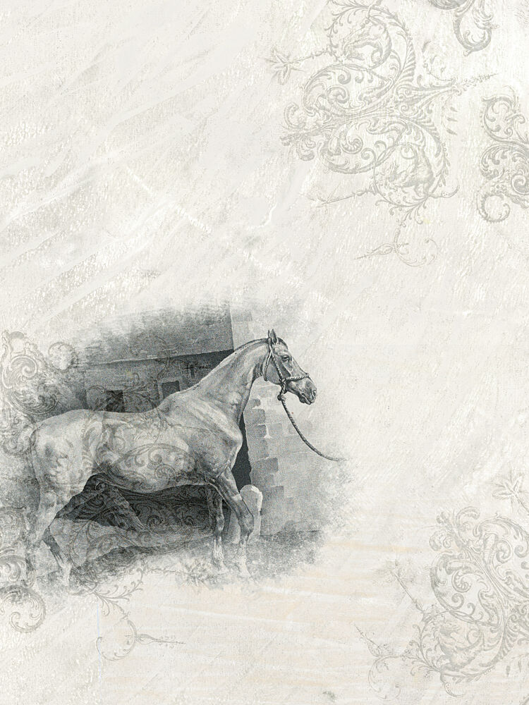 Dream Of Horses 3 art print by Dena Ann Adams for $57.95 CAD