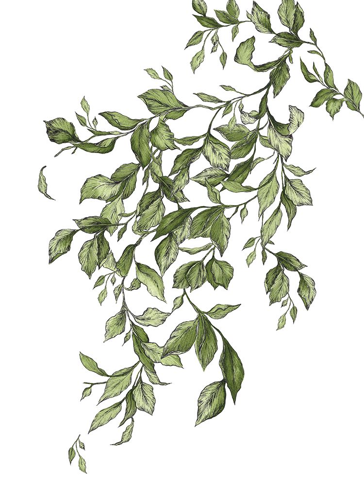 Free Leaves art print by Dominique Alyse Studios for $57.95 CAD