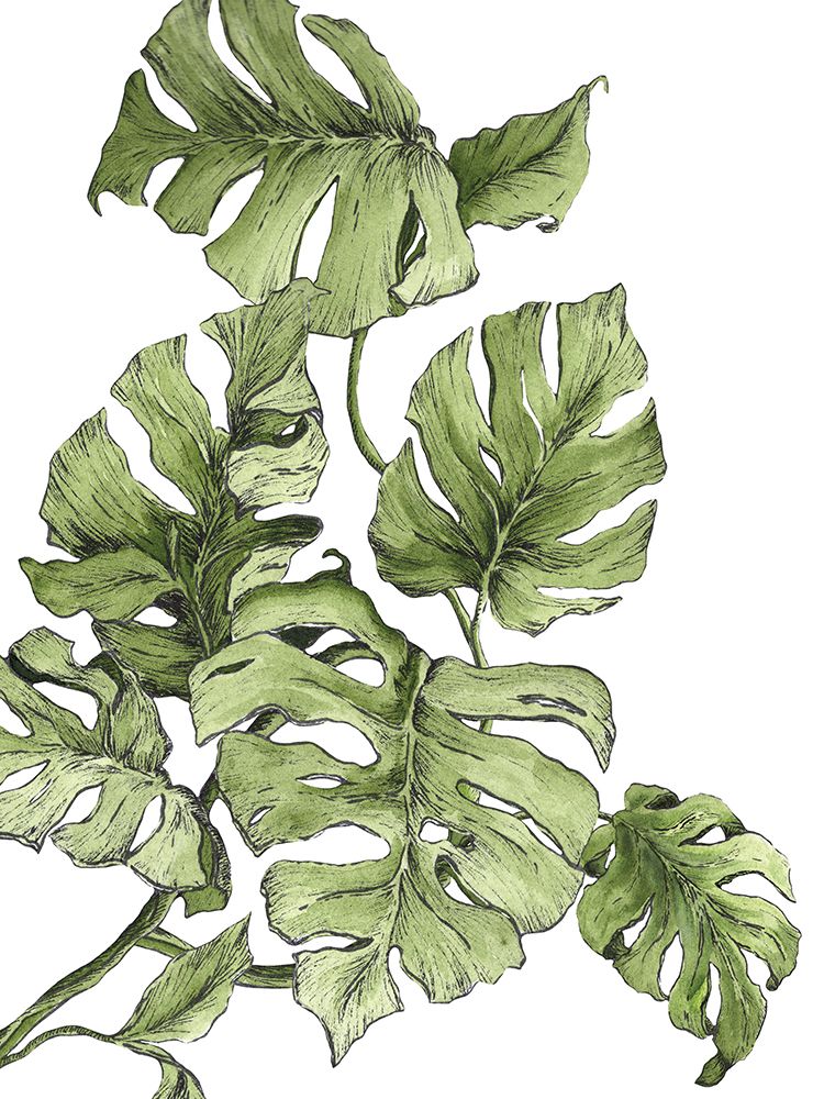 Monstera Leaves art print by Dominique Alyse Studios for $57.95 CAD
