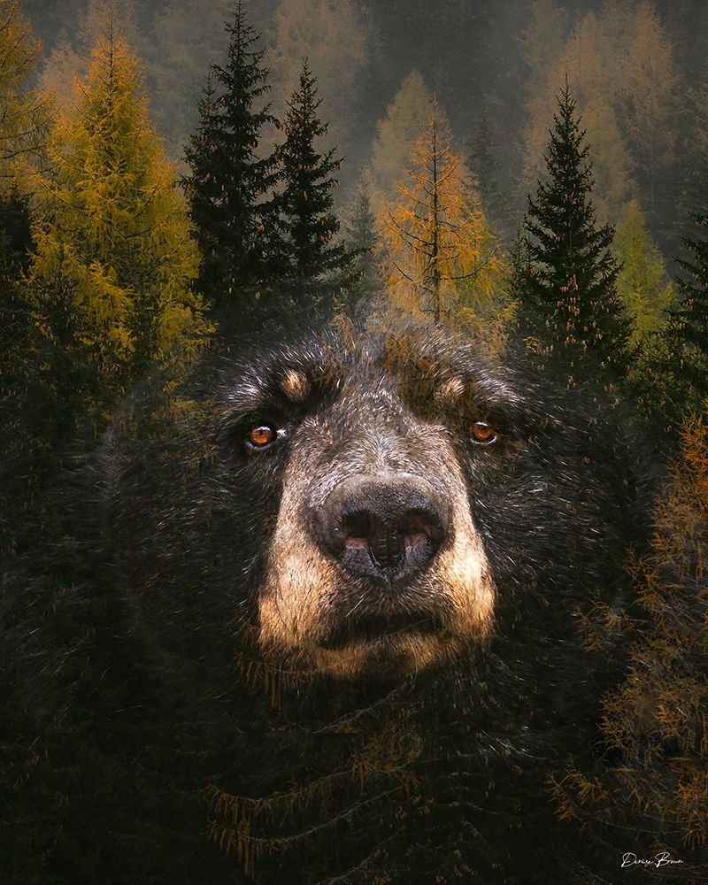 Through The Trees art print by Denise Brown for $57.95 CAD