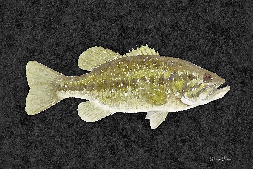 Bass art print by Denise Brown for $57.95 CAD