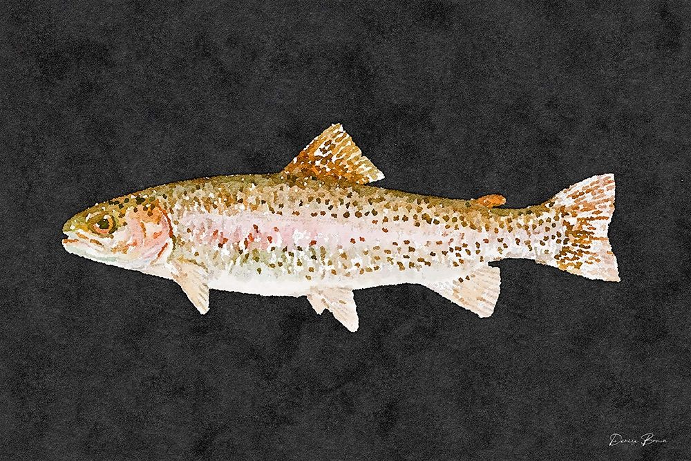 Rainbow Trout art print by Denise Brown for $57.95 CAD